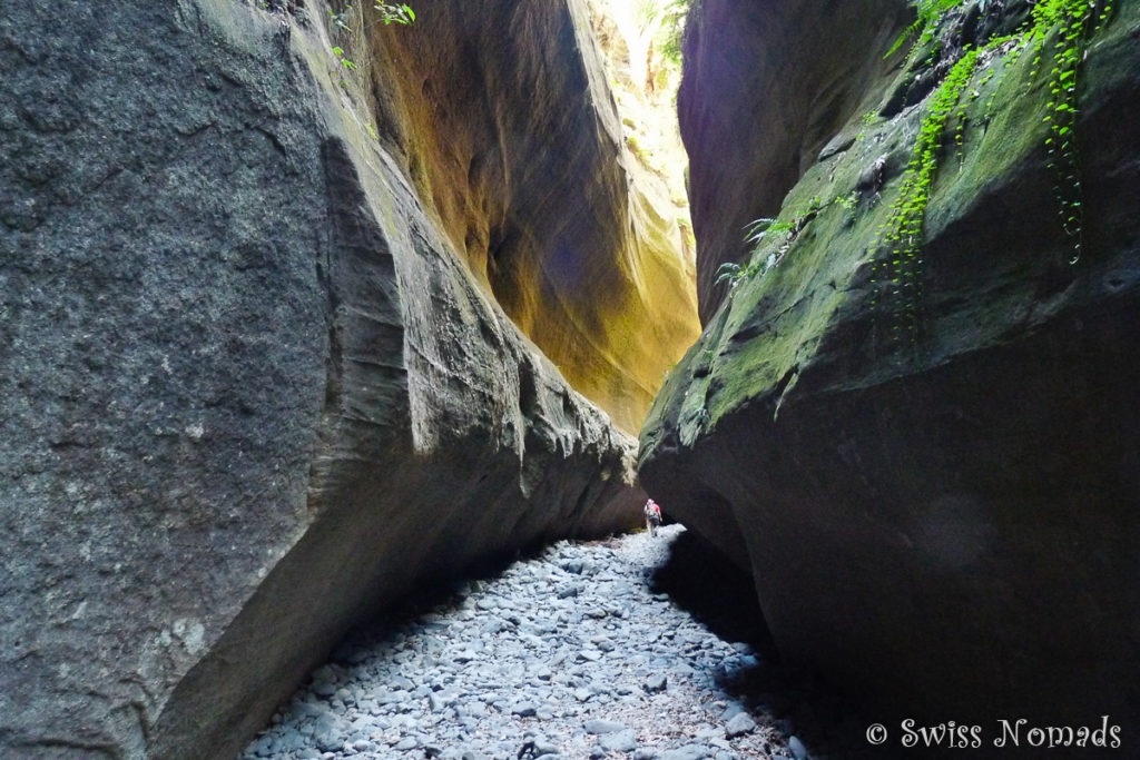 Der enge Boowinda Gorge im Carnarvon Gorge Nationalpark