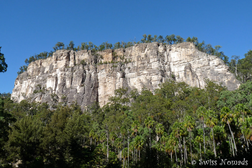 Typische Felswand im Carnarvon Gorge Nationalpark