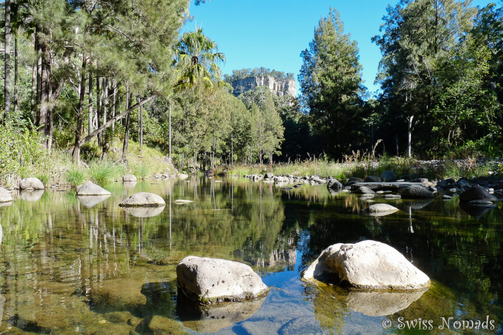 Flusslandschaft im Carnarvon Gorge Nationalpark