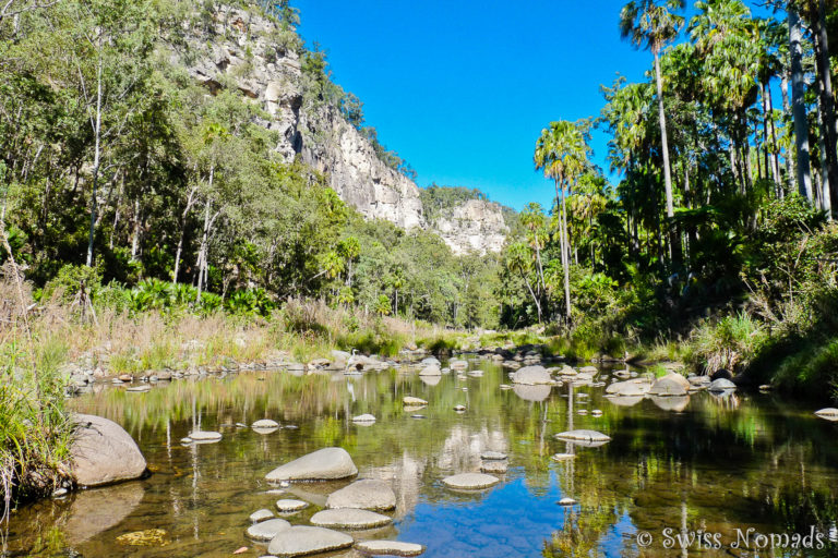 Im Carnarvon Gorge Nationalpark in Australien