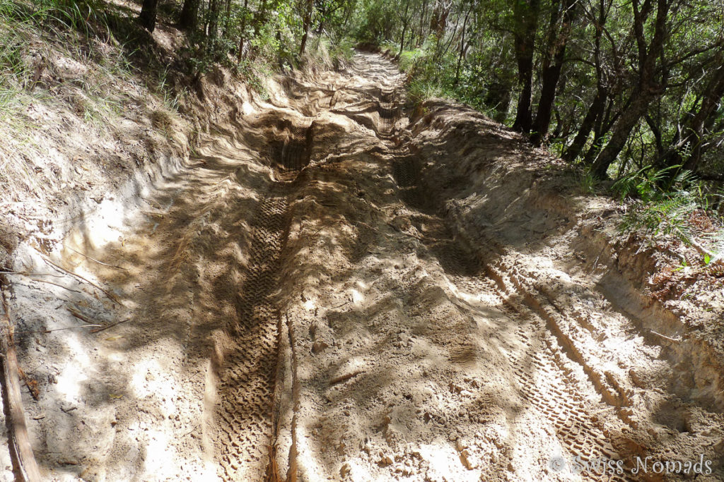 Ein sandiger Track durch das Inselinnere von Fraser Island