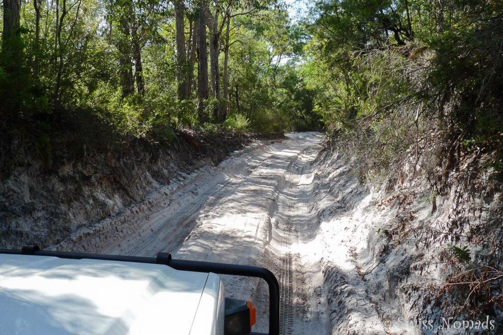 Auf dem Track zur Central Station auf Fraser Island