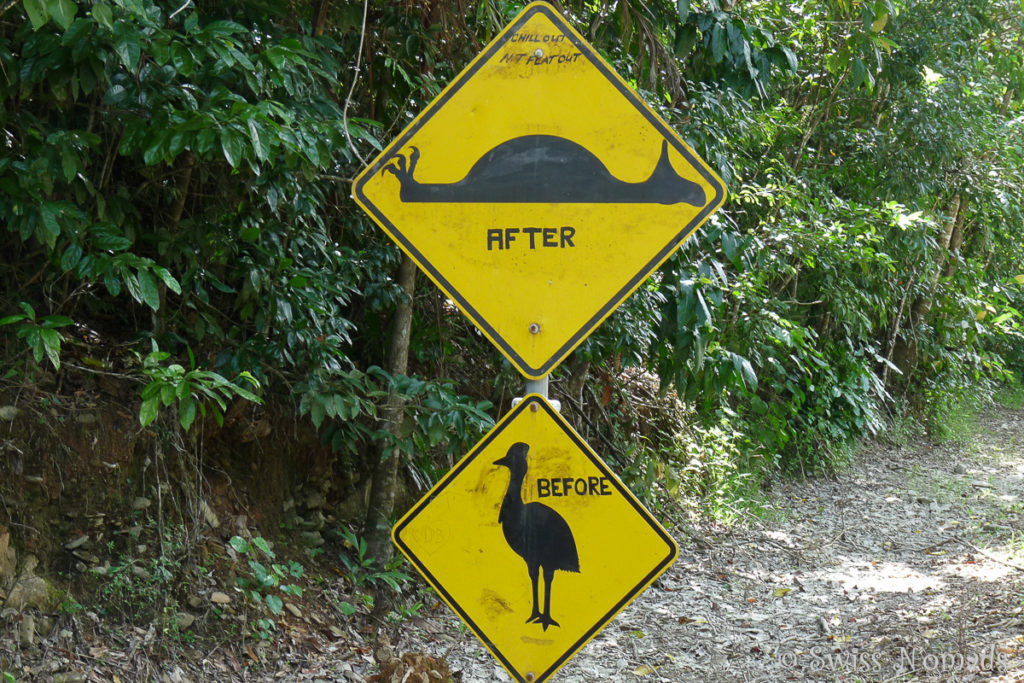 Kasuar Strassenschild im Daintree Nationalpark