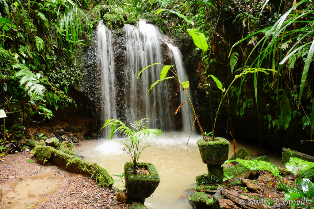 Wasserfall im Paronella Park