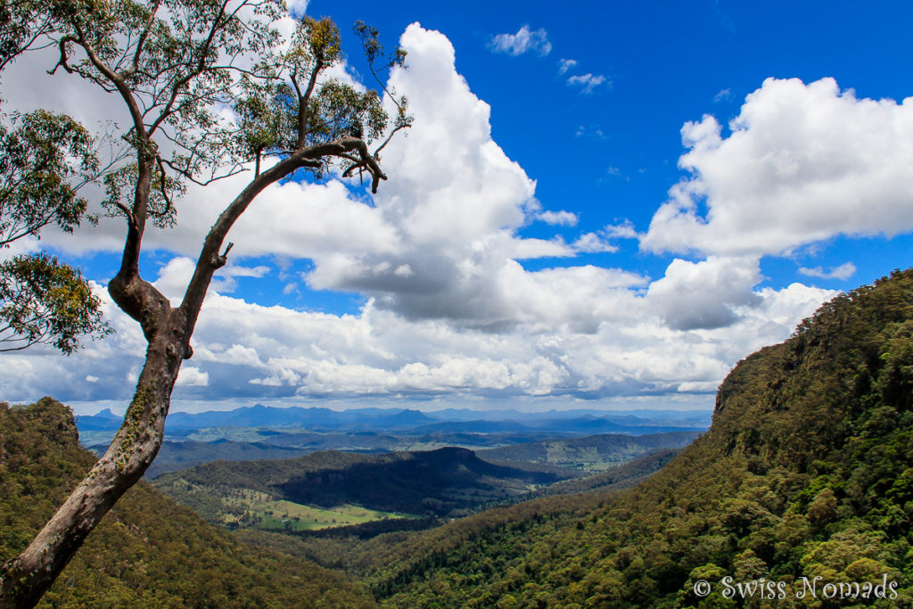 Morans Falls Track Lamington Nationalpark