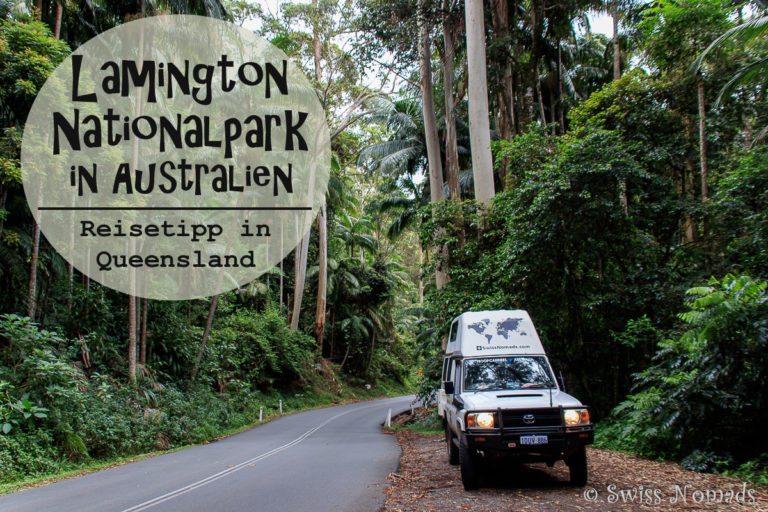 Lamington Nationalpark in Australien