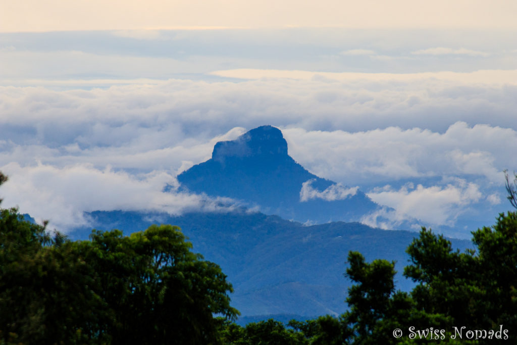 Lamington Nationalpark in Australien