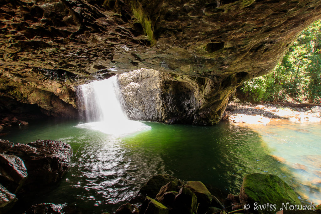 Natural Bridge Springbrook Nationalpark