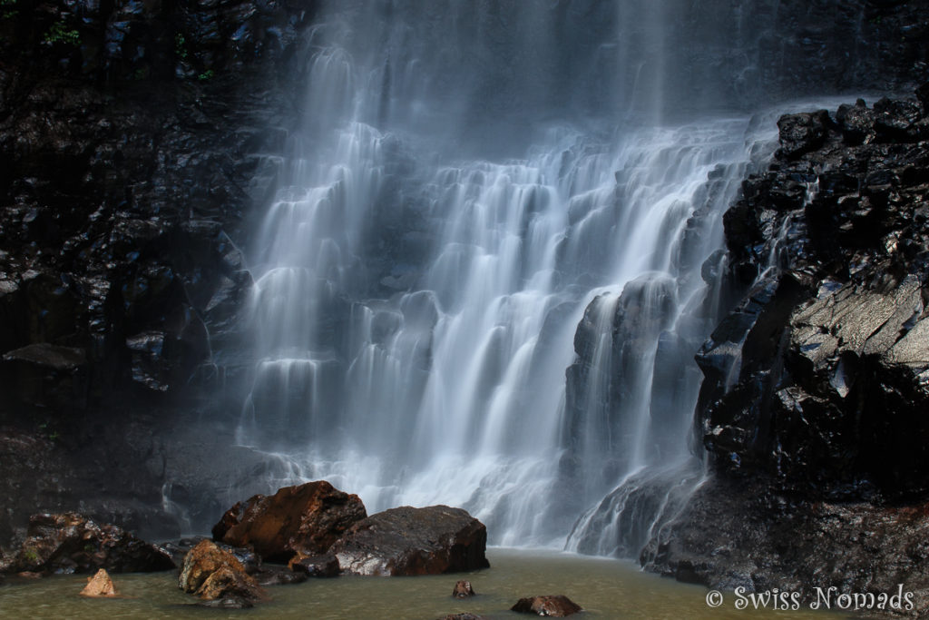 Purling Brook Falls in Australien