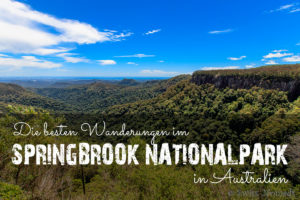 Read more about the article Die besten Wanderungen im Springbrook Nationalpark in Australien