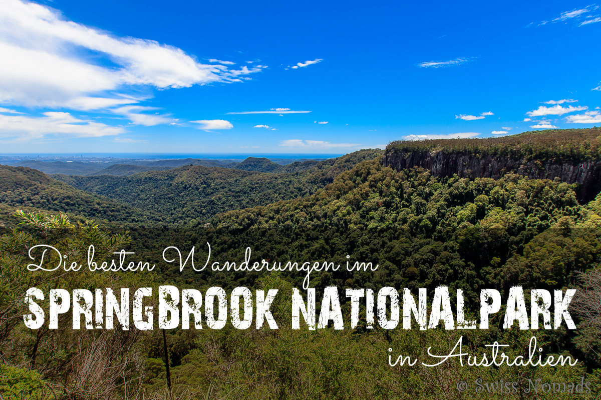 Du betrachtest gerade Die besten Wanderungen im Springbrook Nationalpark in Australien