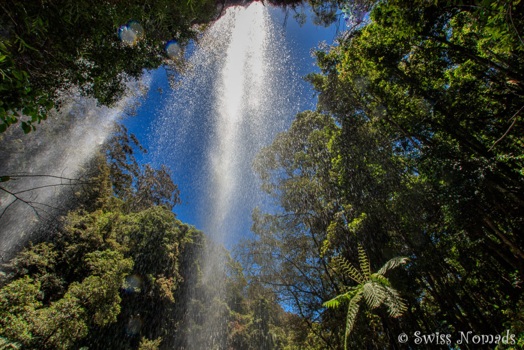 Springbrook Nationalpark Twin Falls