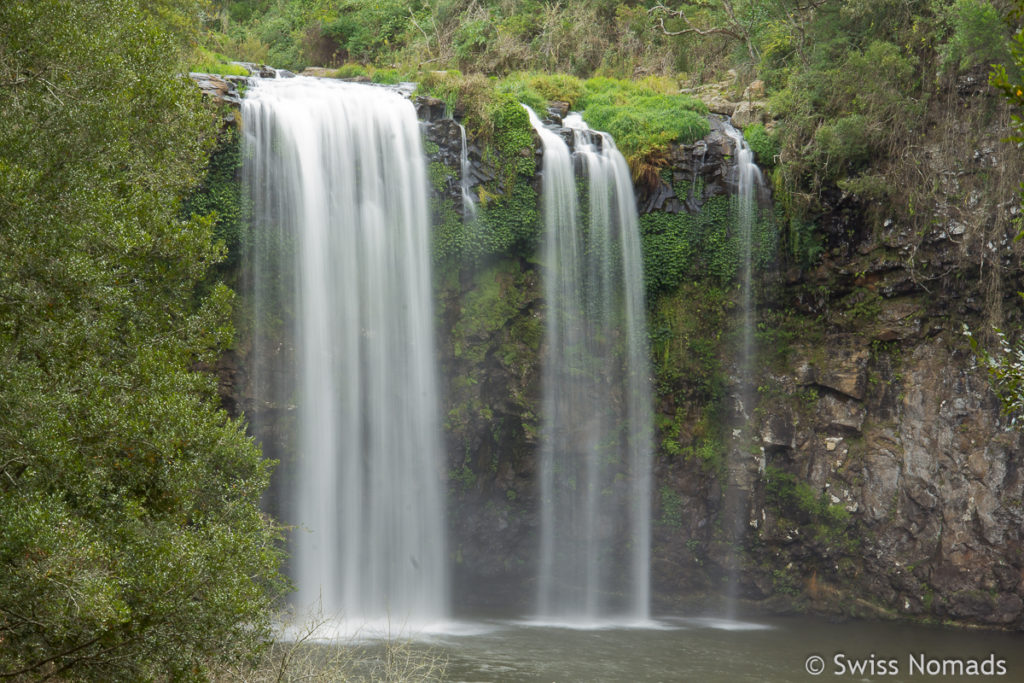 Die Dangar Falls entlang des Waterfall Way