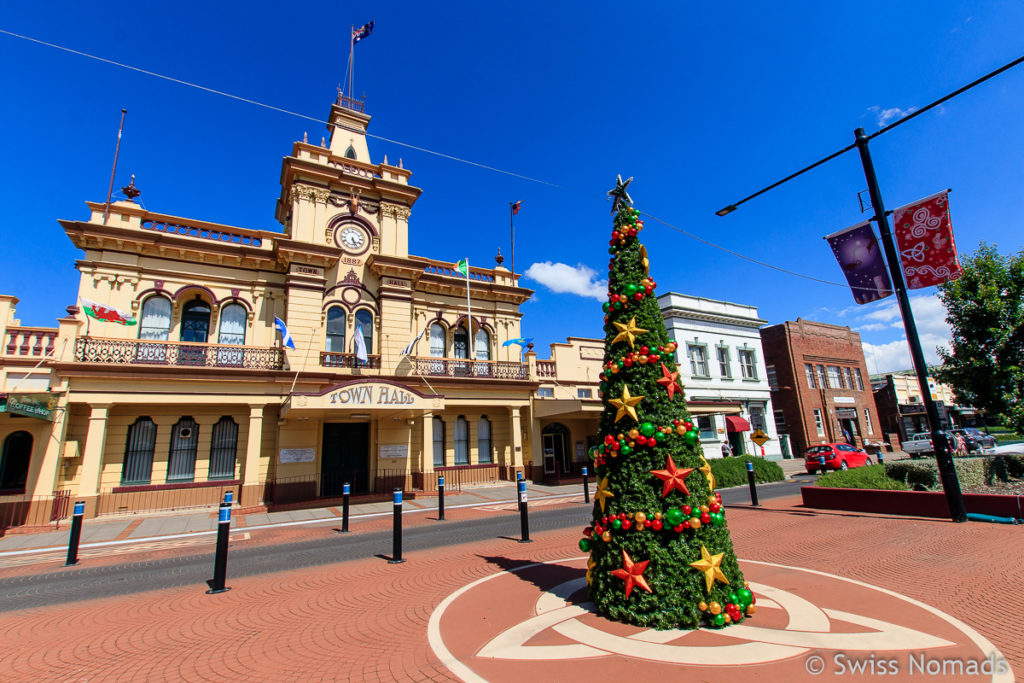 Weihnachtsbaum in Glen Innes auf dem Roadtrip von Brisbane nach Sydney