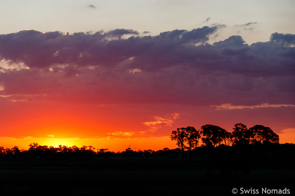 Wunderschönes Abendrot auf dem Roadtrip von Brisbane nach Sydney in Guyra