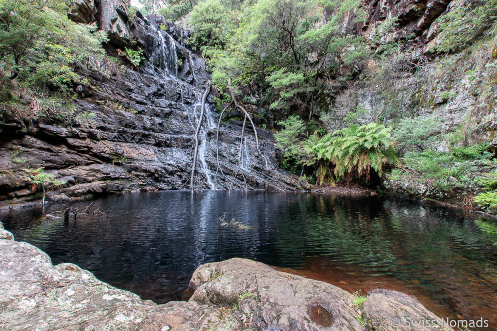 Wasserfall bei den Kanangra Falls in den Blue Mountains