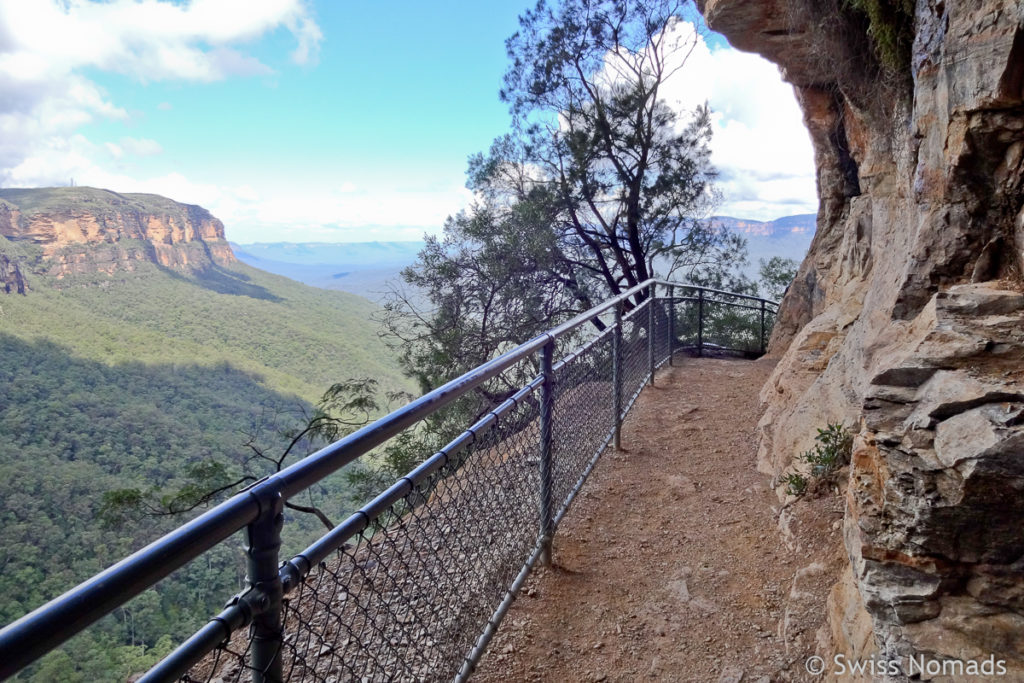 Auf dem National Pass Track im Blue Mountains Nationalpark