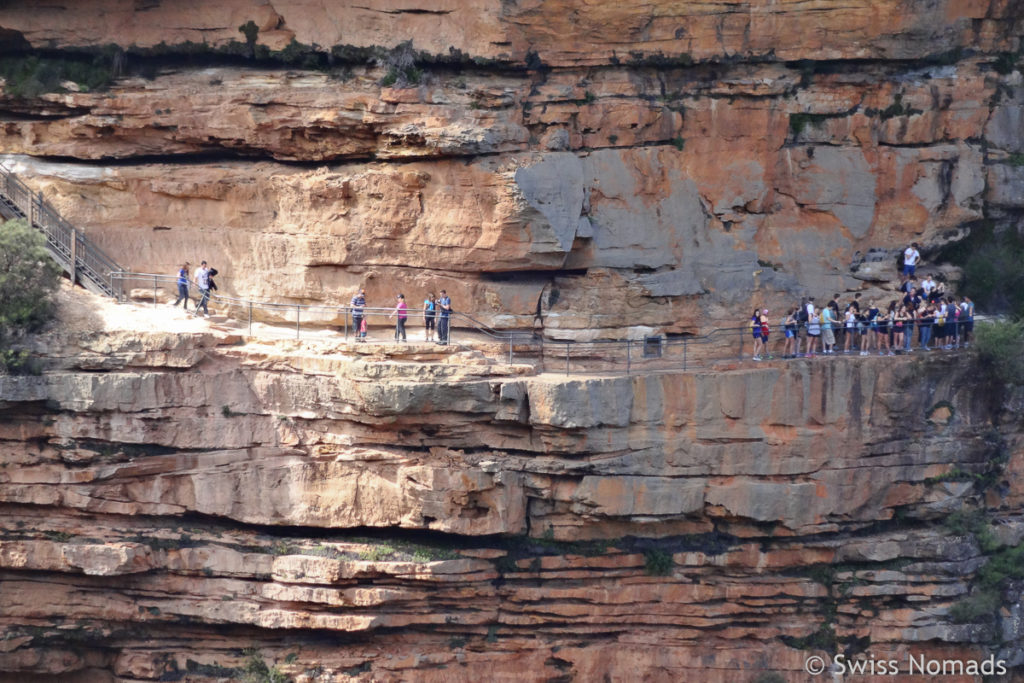 National Pass Track im Blue Mountains Nationalpark