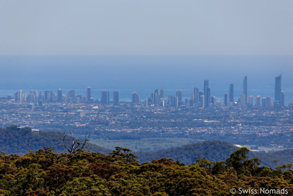 Aussicht vom Springbrook Nationalpark auf Surfers Paradise