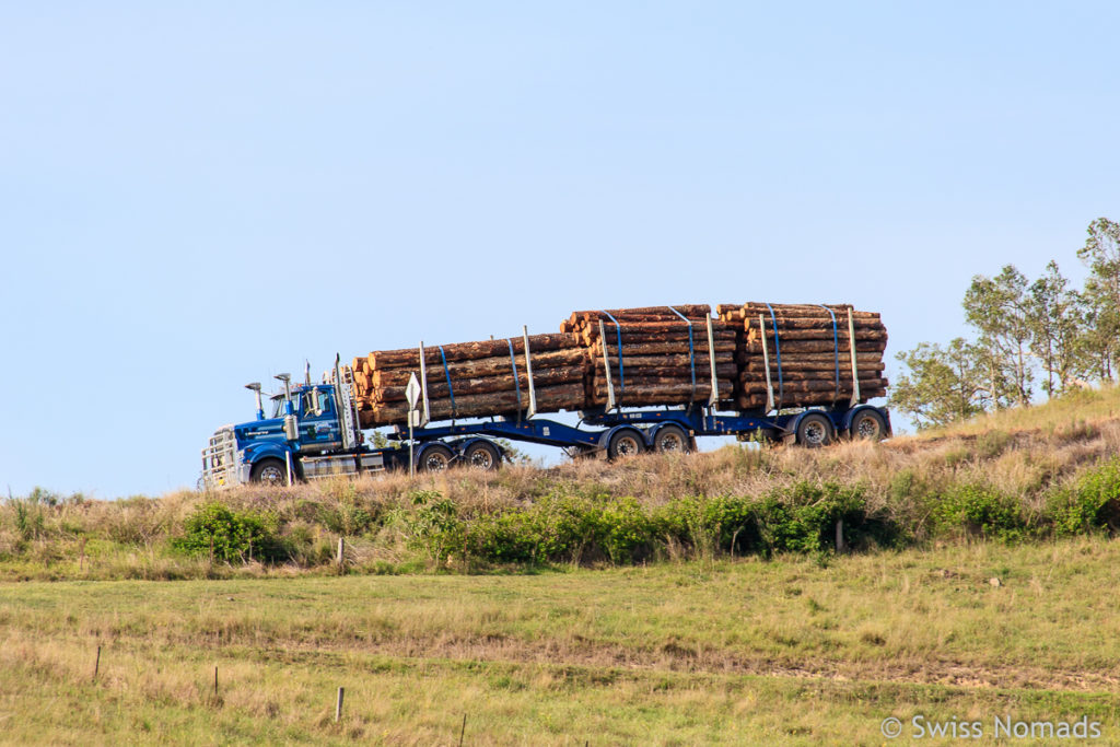 Holztransport auf dem Thunderbolts Way