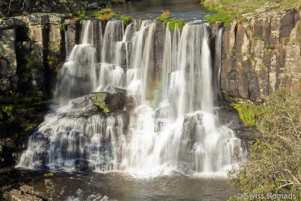 Die Upper Ebor Falls auf dem Roadtrip von Brisbane nach Sydney