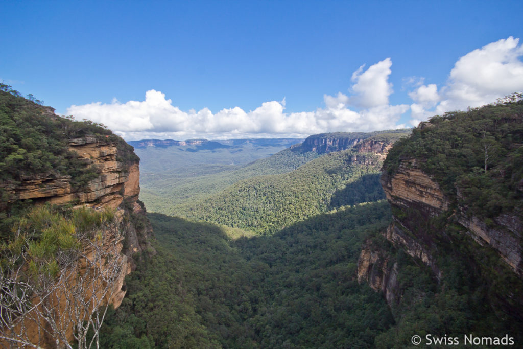 Das Valley of the Waters im Blue Mountains Nationalpark