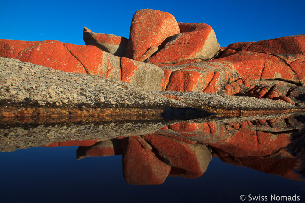 Morgenstimmung an der Bay of Fires in Tasmanien