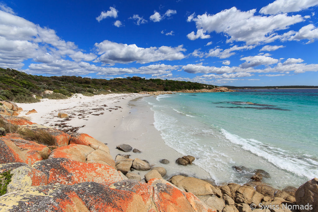 An der Bay of Fires während des Tasmanien Roadtrips