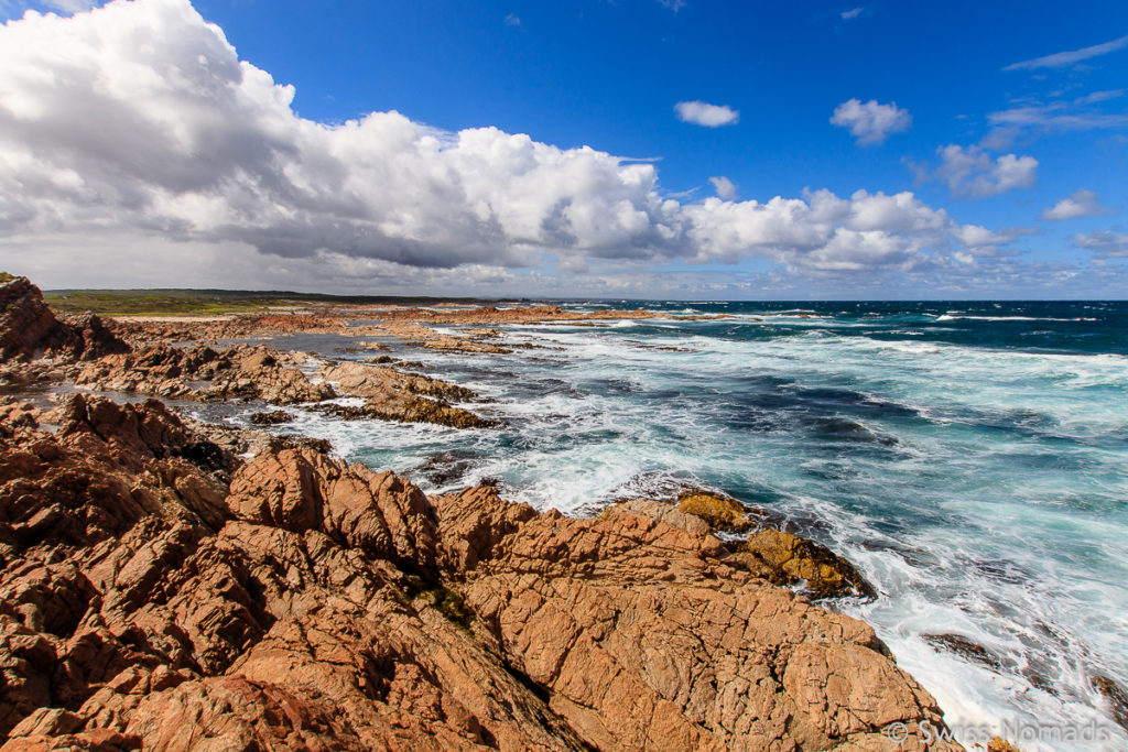 Der Bluff Hill Point auf unserem Tasmanien Roadtrip