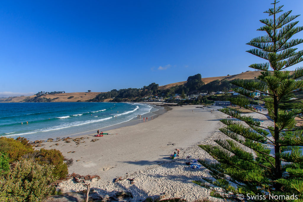 Am Boat Harbour Beach während unseres Tasmanien Roadtrips