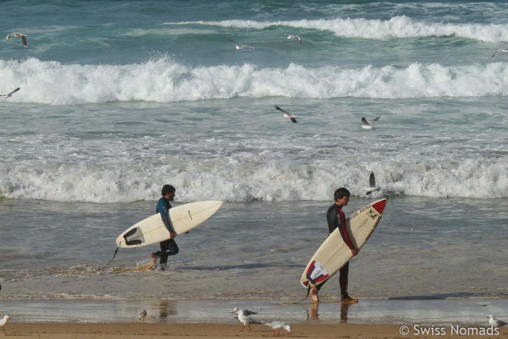 Manly Sydney Sehenswuerdigkeiten