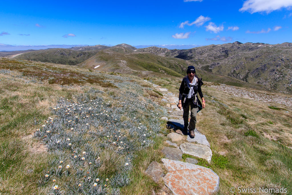 Wanderung vom Mount Kosciusczko zum Carruthers Peak in Austeralien