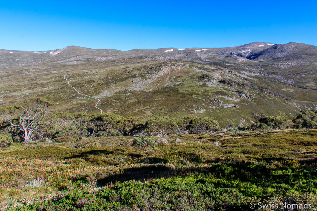 Aussicht vom Wanderweg auf den Mount Kosciuszko in Australien