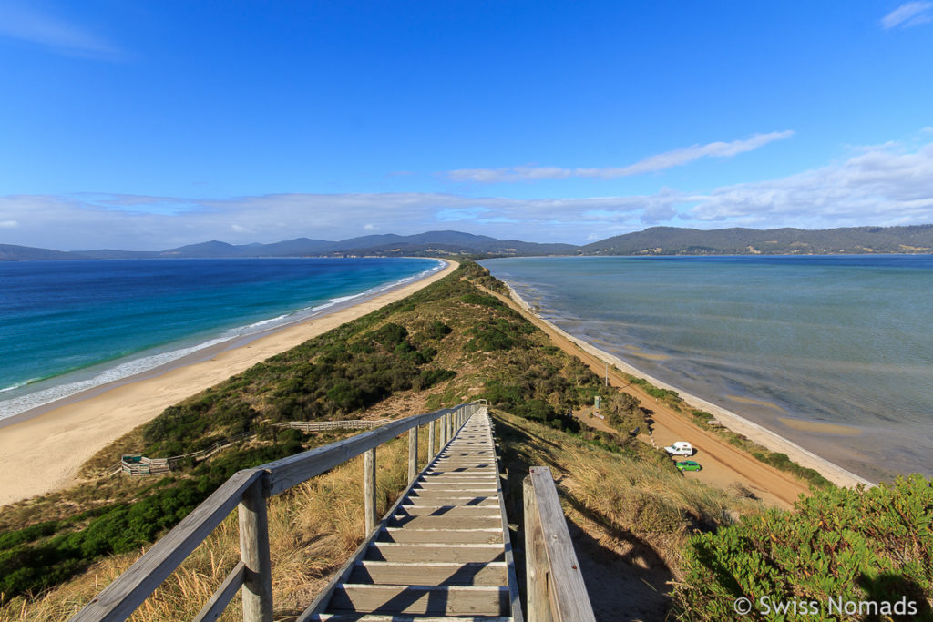 Aussichtspunkt The Neck auf Bruny Island in Tasmanien