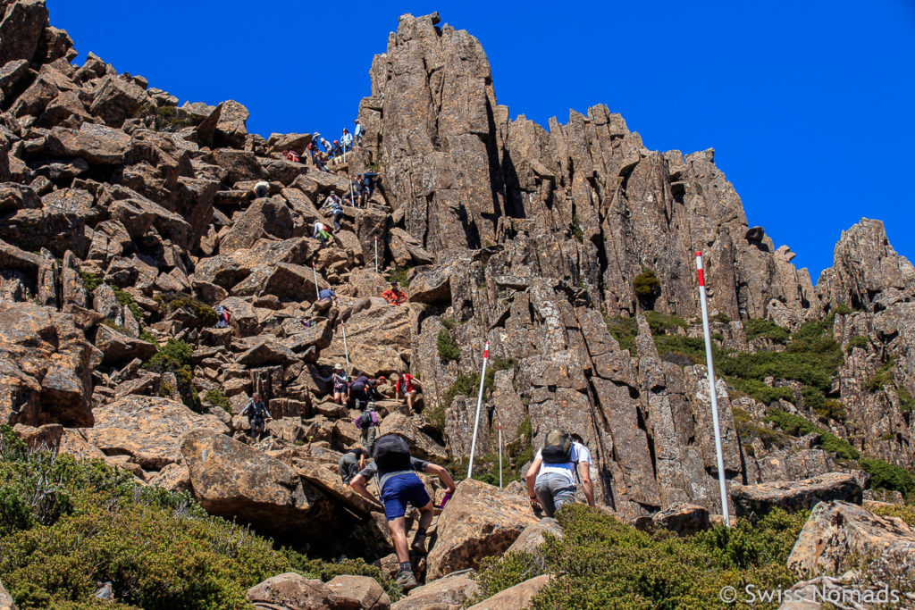 Wanderer auf dem Cradle Mountain Summit Track