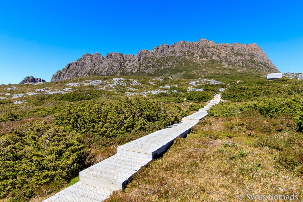 Die schöne Wanderung auf den Gipfel des Cradle Mountain in Tasmanien