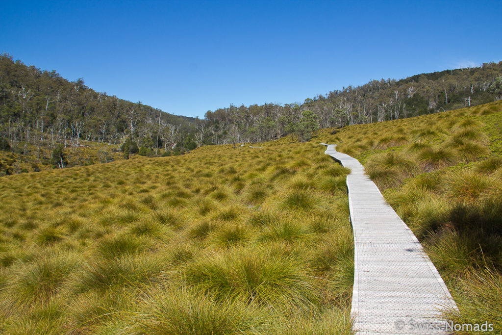 Auf dem Cradle Valley Board Walk