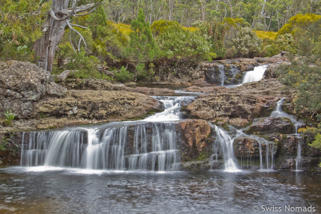 Pencil Pine Falls im Cradle Mountain Nationalpark