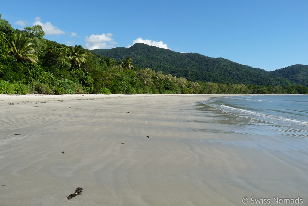 Der Daintree Nationalpark in Australien