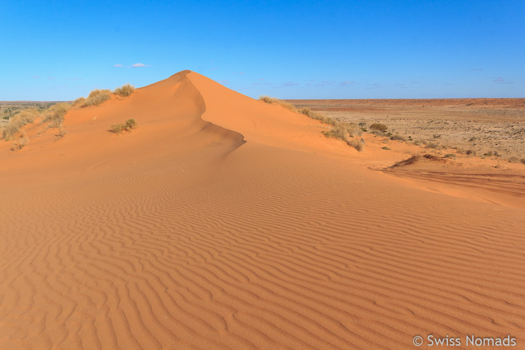 Der Simpson Desert Nationalpark in Australien