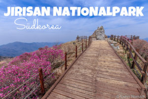 Read more about the article Der Jirisan Nationalpark in Südkorea ist ein Wanderparadies
