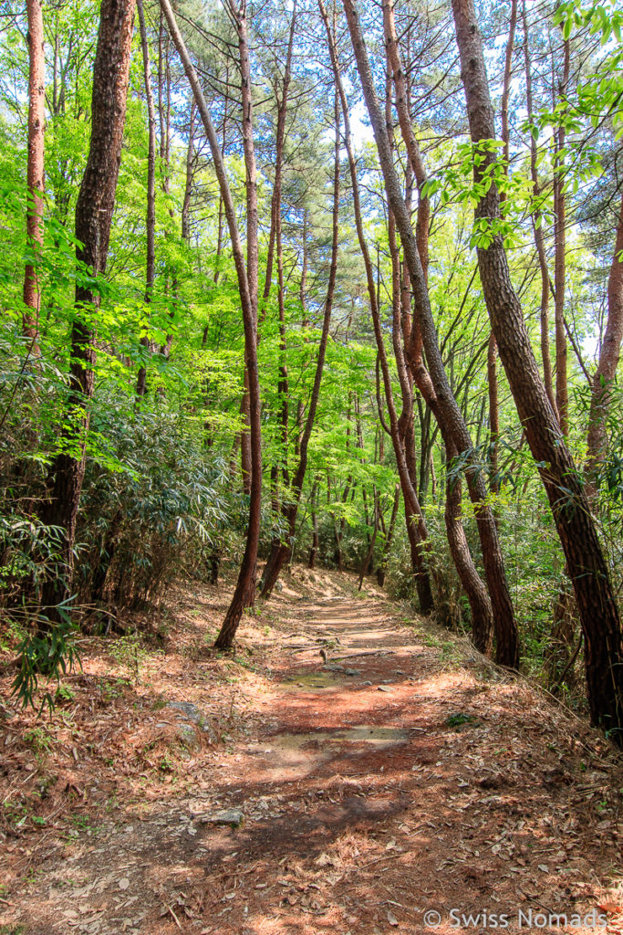 Wanderweg zum Guksaam Tempel im Jirisan Nationalpark