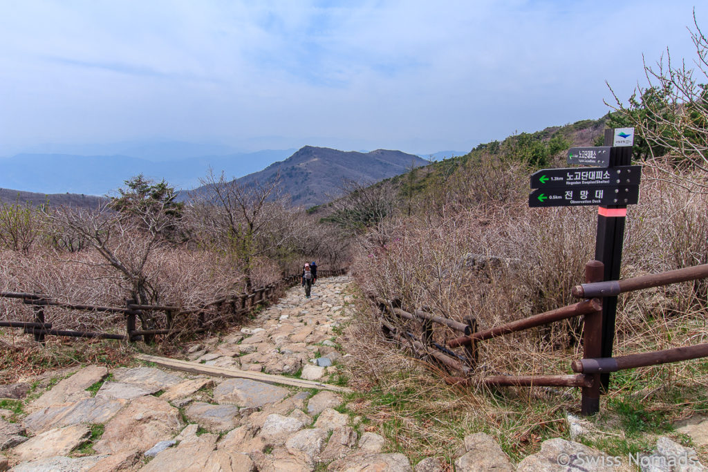 Wanderweg zum Nogodan Gipfel im Jirisan Nationalpark