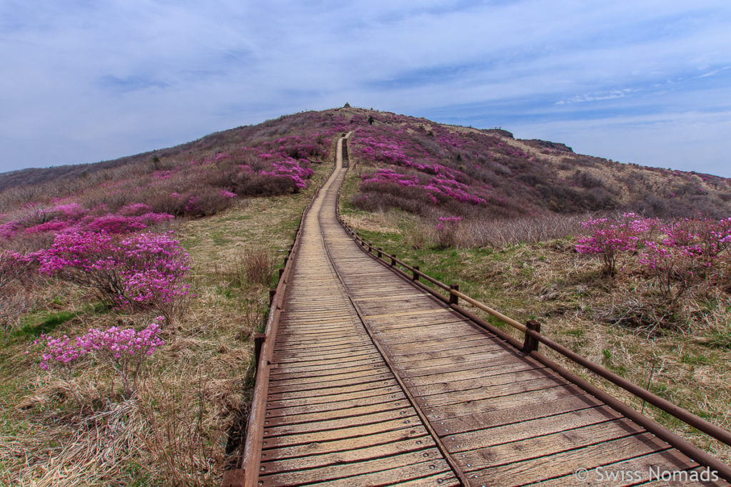 Wanderung zum Nogodan Gipfel im Jirisan Nationalpark