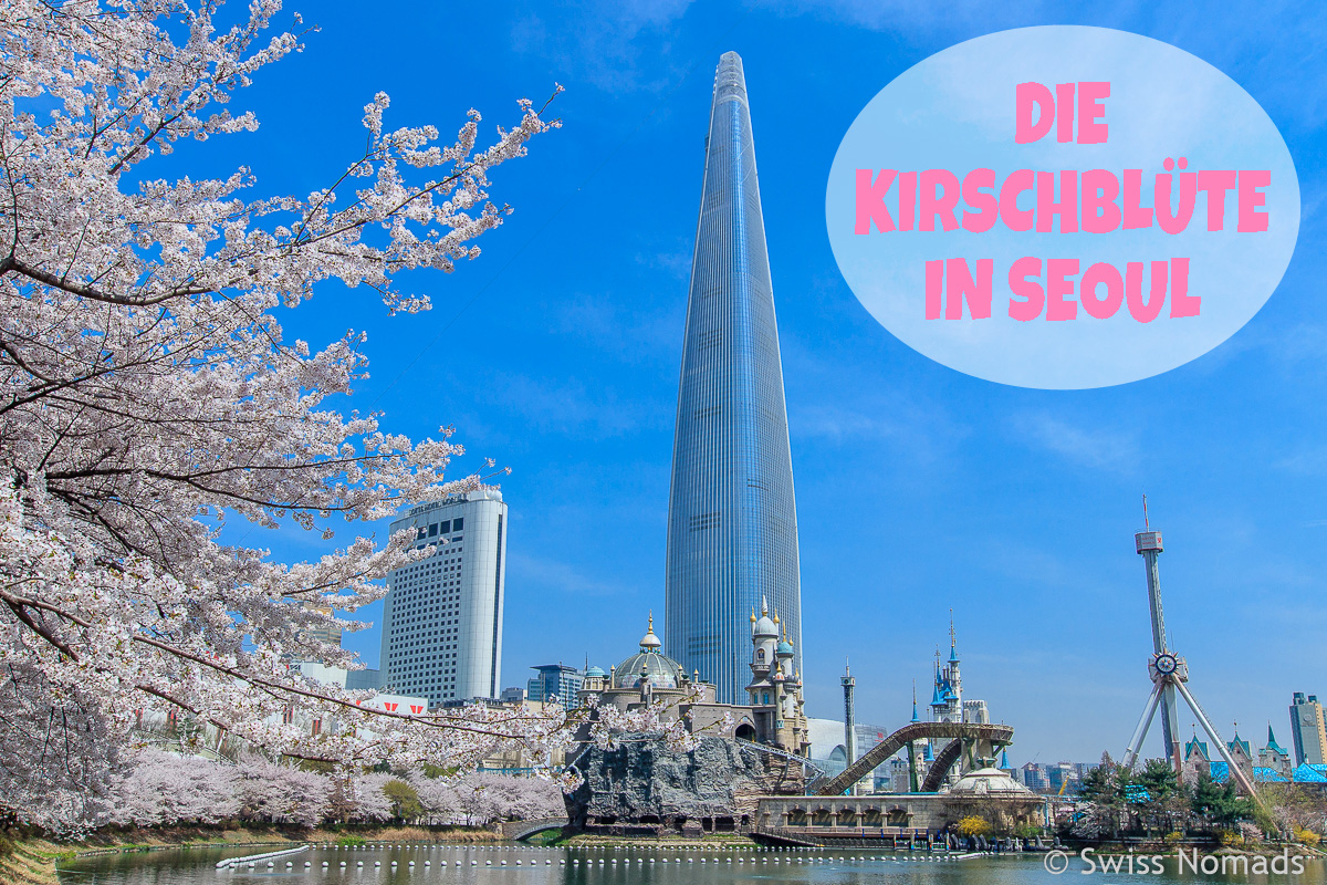 Read more about the article Die Kirschblüte in Seoul zu erleben ist ein Traum