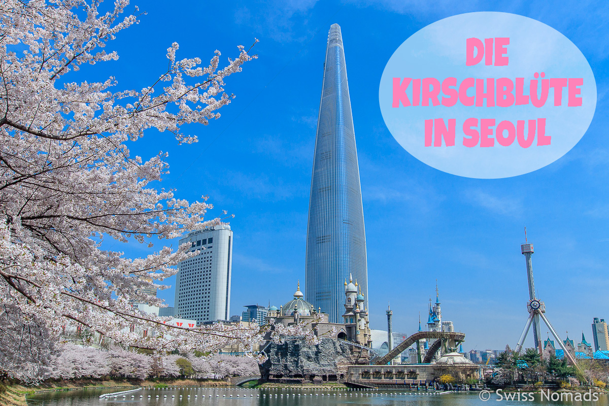 Mehr über den Artikel erfahren Die Kirschblüte in Seoul zu erleben ist ein Traum