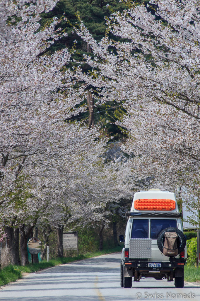 Korea Roadtrip mit dem eigenen Fahrzeug