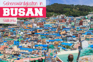 Mehr über den Artikel erfahren Busan ist cool – Unsere Highlights und Sehenswürdigkeiten in Busan