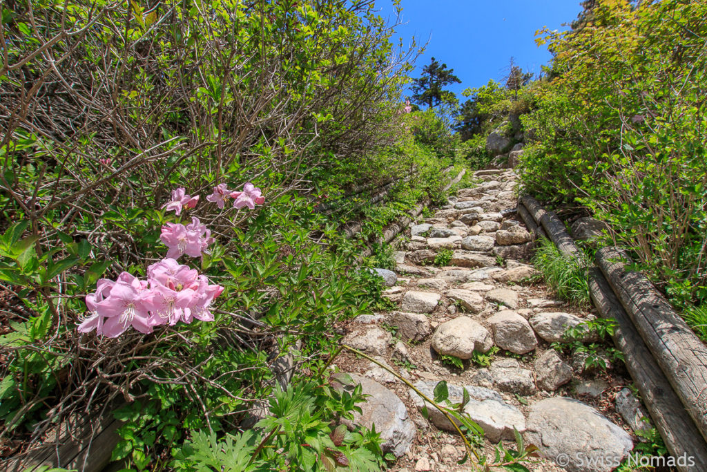 Die Wanderung zum Dacheongbong im Seoraksan Nationalpark