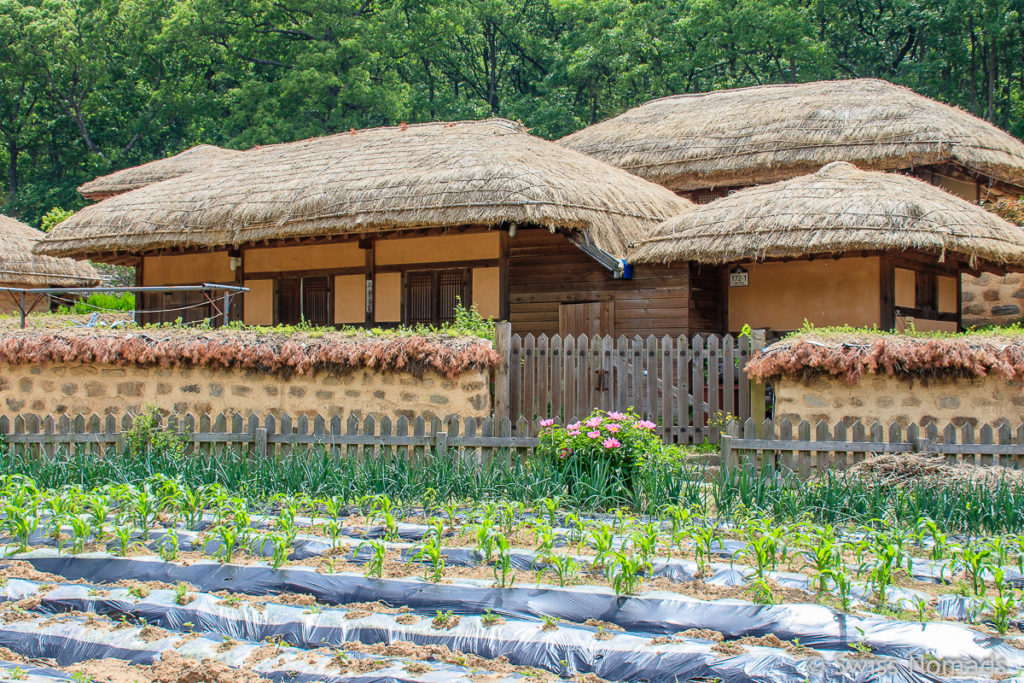 Strohdächer im Yangdong Folk Village